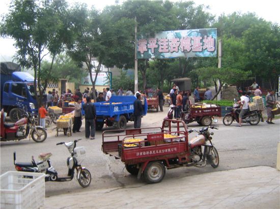 鿴ϸϢ⣺ֳ Ķ3384