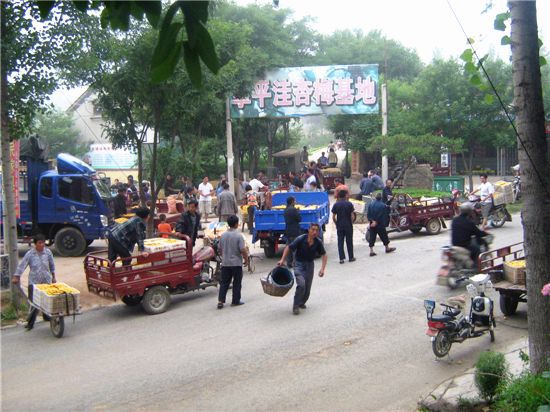 鿴ϸϢ⣺ֳ Ķ4687