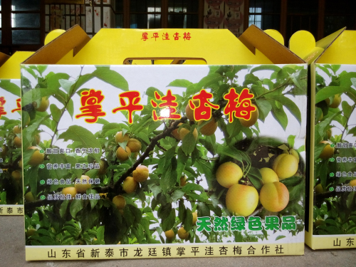 鿴ϸϢ⣺÷°װ Ķ5082
